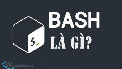 Bash là gì? Phân loại các bash được sử dụng phổ biến hiện nay