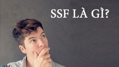 SSF là gì? SSF viết tắt của cụm từ nào?
