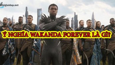 Ý nghĩa của Wakanda Forever là gì?