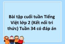 Bài tập cuối tuần Tiếng Việt lớp 2 (Kết nối tri thức) Tuần 34 có đáp án