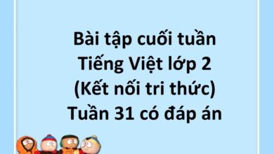 Bài tập cuối tuần Tiếng Việt lớp 2 (Kết nối tri thức) Tuần 31 có đáp án