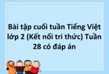 Bài tập cuối tuần Tiếng Việt lớp 2 (Kết nối tri thức) Tuần 28 có đáp án
