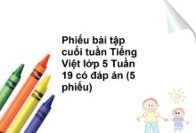 Phiếu bài tập cuối tuần Tiếng Việt lớp 5 Tuần 19 có đáp án (5 phiếu)