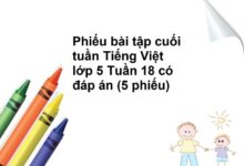 Phiếu bài tập cuối tuần Tiếng Việt lớp 5 Tuần 18 có đáp án (5 phiếu)