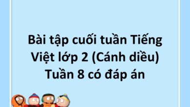 Bài tập cuối tuần Tiếng Việt lớp 2 (Cánh diều) Tuần 8 có đáp án