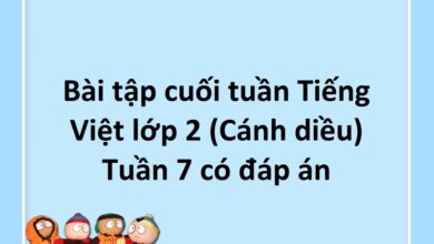 Bài tập cuối tuần Tiếng Việt lớp 2 (Cánh diều) Tuần 7 có đáp án
