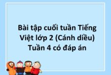Bài tập cuối tuần Tiếng Việt lớp 2 (Cánh diều) Tuần 4 có đáp án