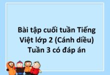 Bài tập cuối tuần Tiếng Việt lớp 2 (Cánh diều) Tuần 3 có đáp án