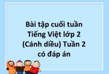 Bài tập cuối tuần Tiếng Việt lớp 2 (Cánh diều) Tuần 2 có đáp án