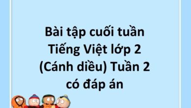 Bài tập cuối tuần Tiếng Việt lớp 2 (Cánh diều) Tuần 2 có đáp án