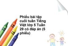 Phiếu bài tập cuối tuần Tiếng Việt lớp 5 Tuần 29 có đáp án (5 phiếu)
