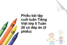 Phiếu bài tập cuối tuần Tiếng Việt lớp 5 Tuần 28 có đáp án (5 phiếu)