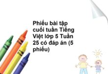 Phiếu bài tập cuối tuần Tiếng Việt lớp 5 Tuần 25 có đáp án (5 phiếu)