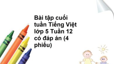 Bài tập cuối tuần Tiếng Việt lớp 5 Tuần 12 có đáp án (4 phiếu)