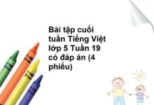 Bài tập cuối tuần Tiếng Việt lớp 5 Tuần 19 có đáp án (4 phiếu)