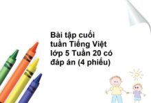 Bài tập cuối tuần Tiếng Việt lớp 5 Tuần 20 có đáp án (4 phiếu)
