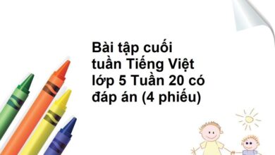 Bài tập cuối tuần Tiếng Việt lớp 5 Tuần 20 có đáp án (4 phiếu)