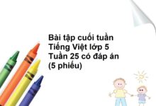 Bài tập cuối tuần Tiếng Việt lớp 5 Tuần 25 có đáp án (5 phiếu)