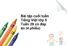 Bài tập cuối tuần Tiếng Việt lớp 5 Tuần 29 có đáp án (4 phiếu)